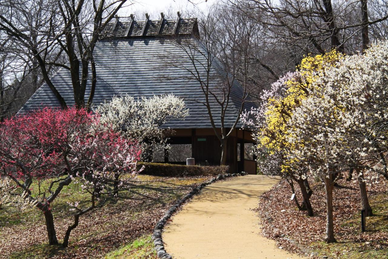 Minano Ikoi No Mura Heritage Minoyama מראה חיצוני תמונה